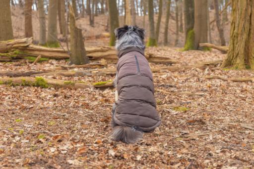 Actual product image Beeztees Hundemantel Wisti (XXS, Dog coat)
