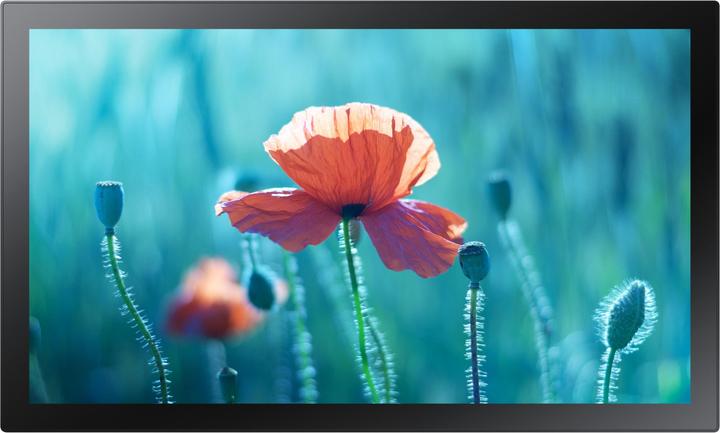 Actual product image Samsung QB13R-TM (1920 x 1080 pixels, 13")
