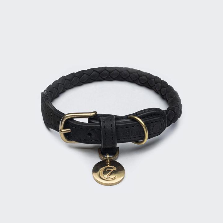 Actual product image Cloud 7 Dog collar Ravello (M, Dog)