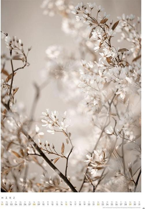 Actual product image Mareike Böhmer: pure & simple Kalender 2026 (Hardcover, German)