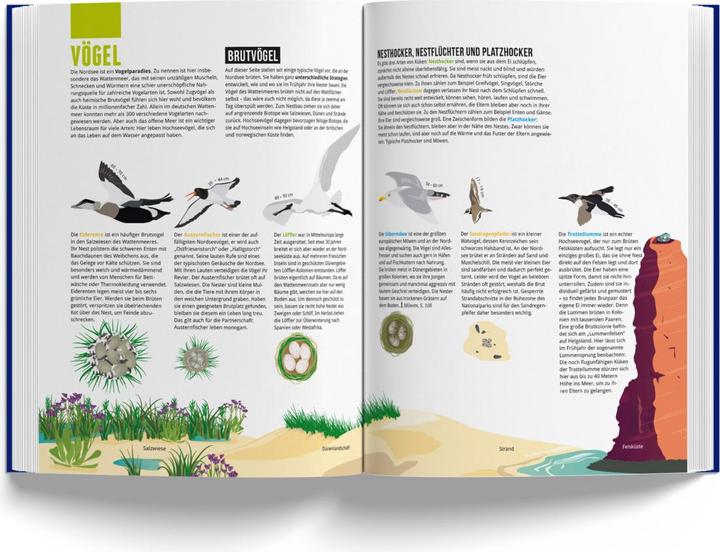 Produktbild Das Nordseebuch