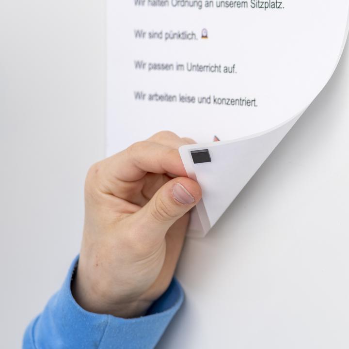 Produktbild Betzold Magnet-Haftis (100 x)