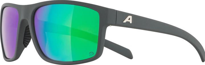 Image du produit ALPINA SPORTS Nacan I Pol