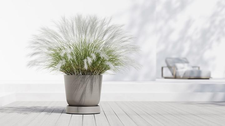 Image du produit Ecopots Saucer Wheels Oslo