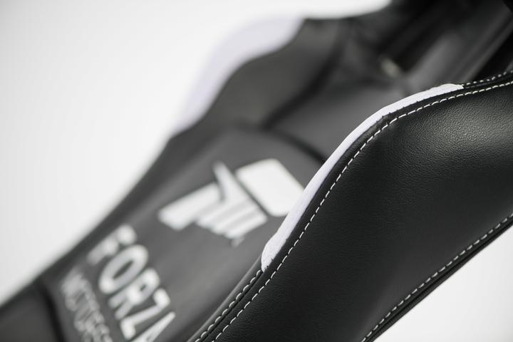 Actual product image Playseat Forza Motorsport