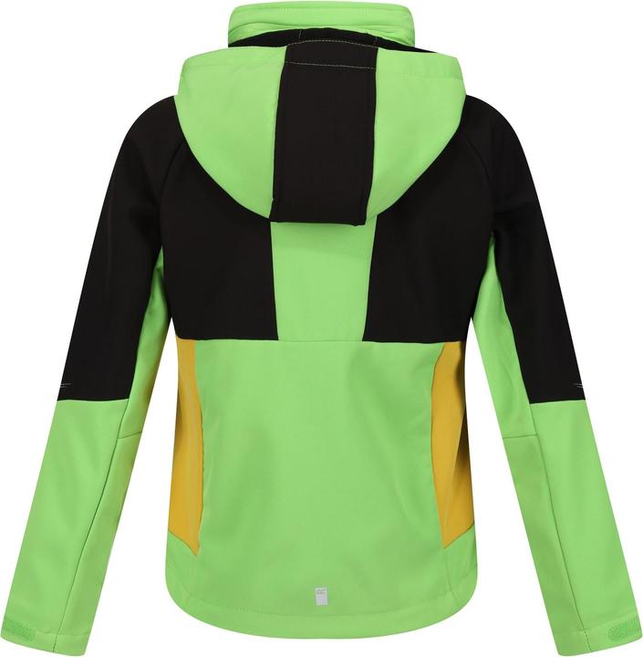 Produktbild Regatta Haydenbury Softshelljacke (146, 152)