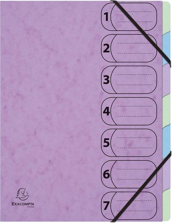 Image du produit Exacompta Dossiers de classement (A4, 80x)