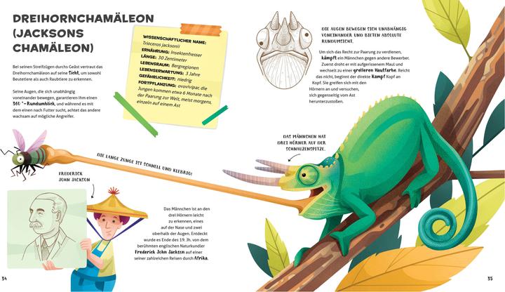 Produktbild National Geographic Besonders und wunderbar: Reptilien (Deutsch, Cristina Banfi, 2021)