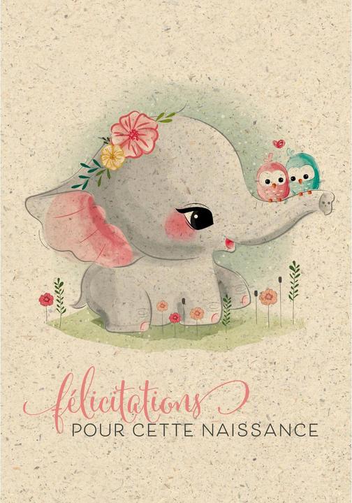 Produktbild Glückwunschkarte Félicitations naissance 12.2 x 17.5 cm (1 Stk.)