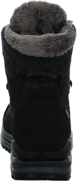 Actual product image Lowa Renegade Evo Ice 2 GTX (41.5)