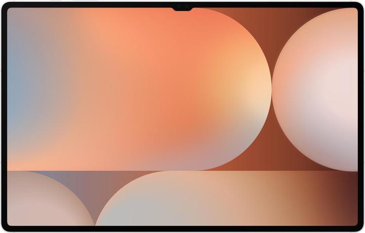 Actual product image Samsung Gal Tab S10 Ultra/X926B/5G/12+256GB/Slvr (5G, 14.60", 256 GB, Platinum, Silver)