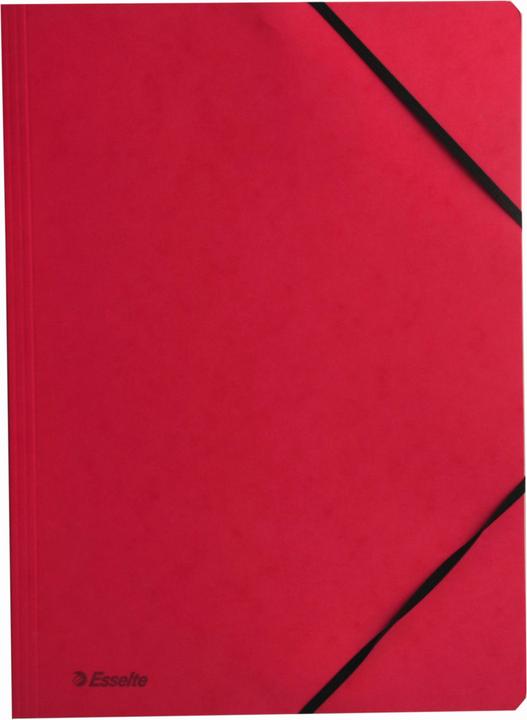 Actual product image Esselte Flap Folder (A4, 1x)