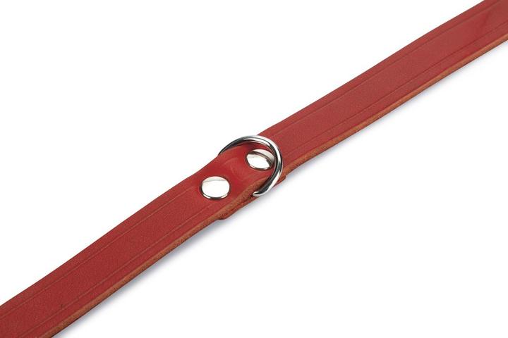 Produktbild Beeztees BZ LEDERHALSBAND ROT 47X18 (47, Hund, Allgemein)