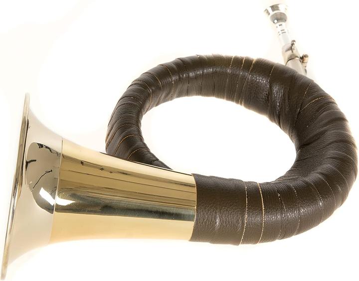 Immagine prodotto Roy Benson Corno del Principe Pless (Tromba, Curvo)