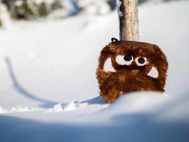 Immagine prodotto Crafty Climbing Tangerine Foodie Monster Chalkbag