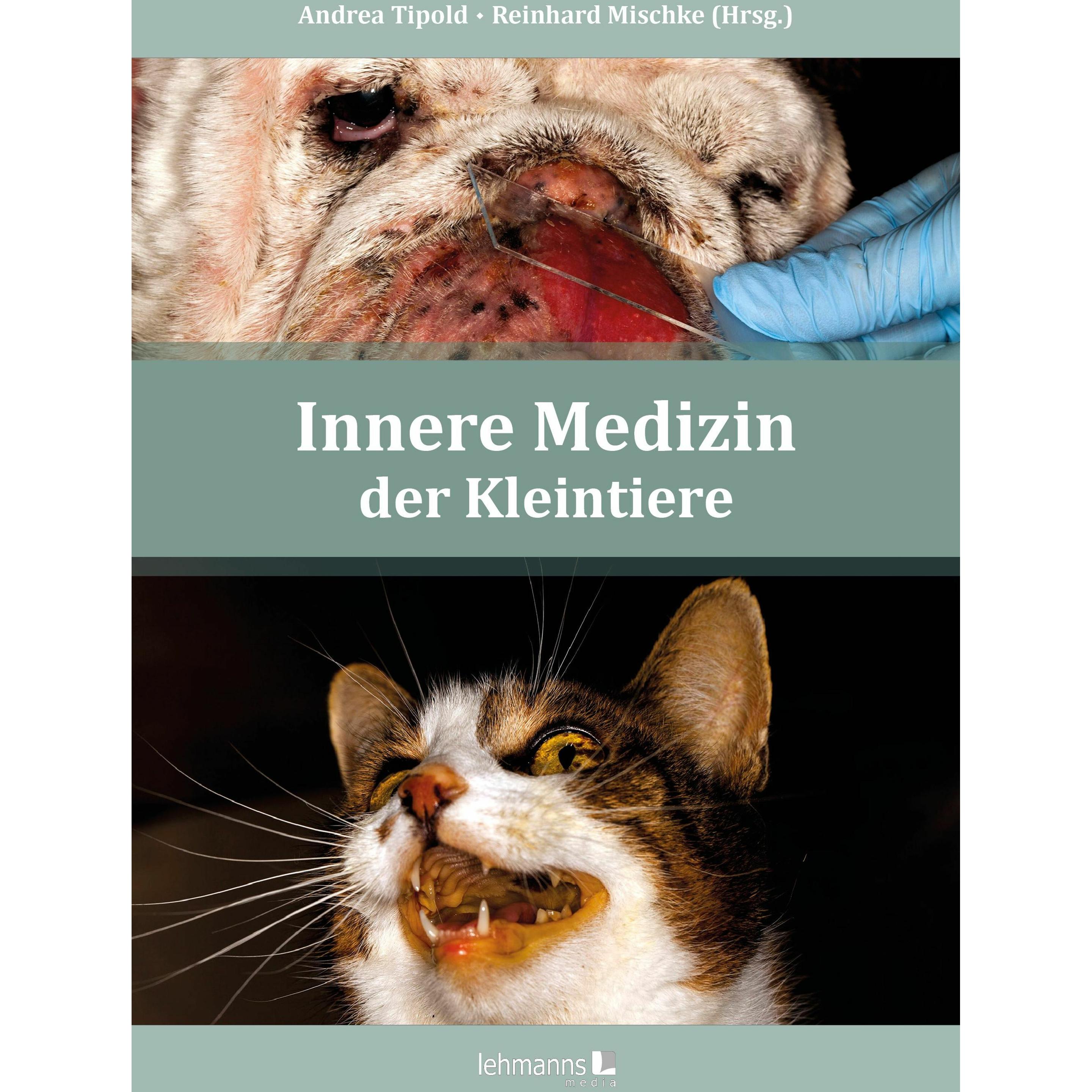 Innere Medizin der Kleintiere, Ratgeber von Reinhard Mischke, Andrea Tipold