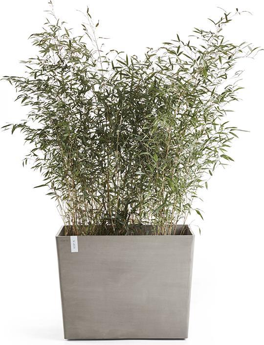 Produktbild Ecopots Paris Wheels 85 Blumentopf - L 85,2 cm x B 39,5 cm x H 65,8 cm - Innen- und Aussenbereich (85.20 x 39.50 x 65.80 cm)