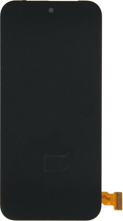 Google Display Pixel 9 Pro XL G949-01011-00 (Display, Google Pixel 9 Pro XL)