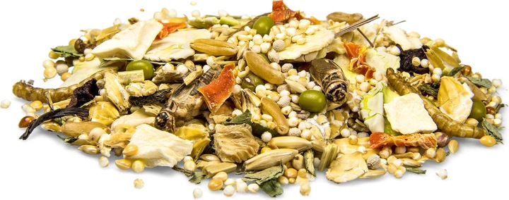 Produktbild Bunny Rennmaus Traum Expert 500g (0.50 kg, 1 x)