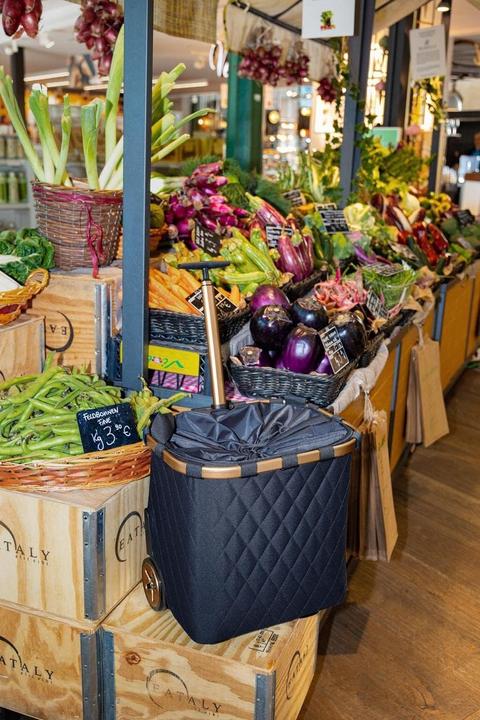 Immagine prodotto reisenthel Carrycruiser