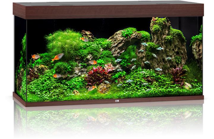 Image du produit Juwel Aquarium Rio (350 l)
