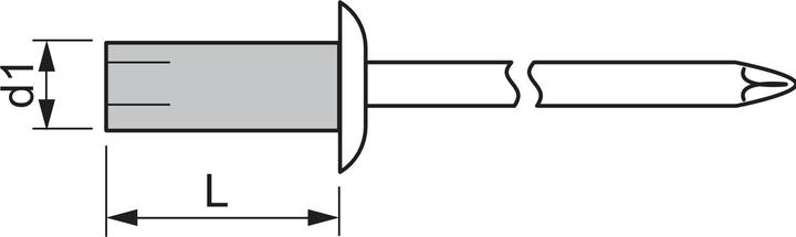 Actual product image Gesipa Expandable rivet flat round head 4.8x14 aluminium with steel mandrel