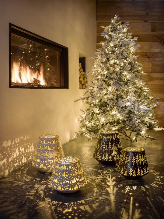 Actual product image STT Nova winter