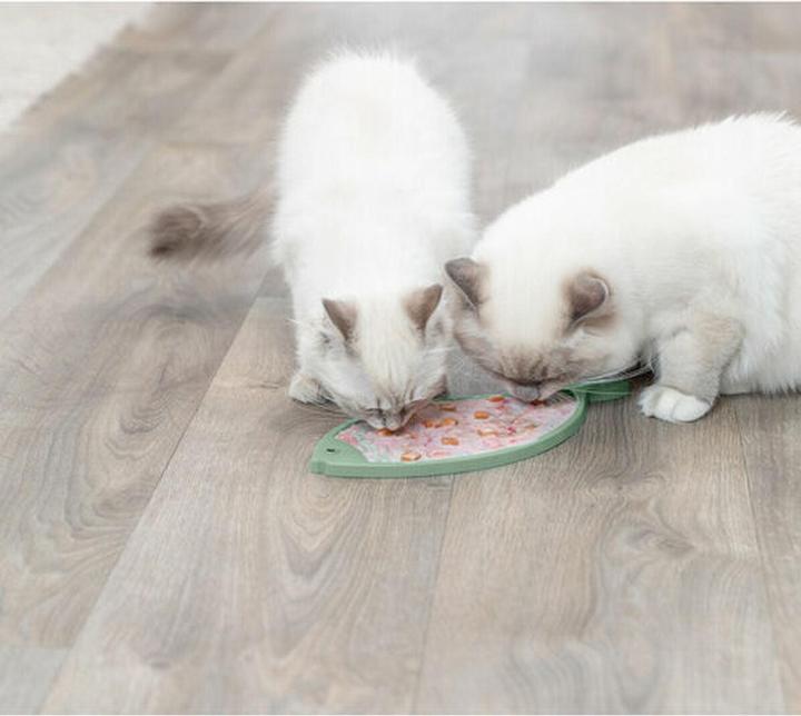 Produktbild Trixie Lick'n'Snack Platte