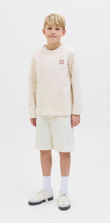 Actual product image Jack & Jones Loose Fit Shorts Junior Shorts (134)