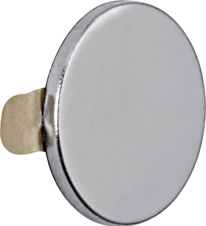 Produktbild Maul Haftmagnet Neodym (20 x)