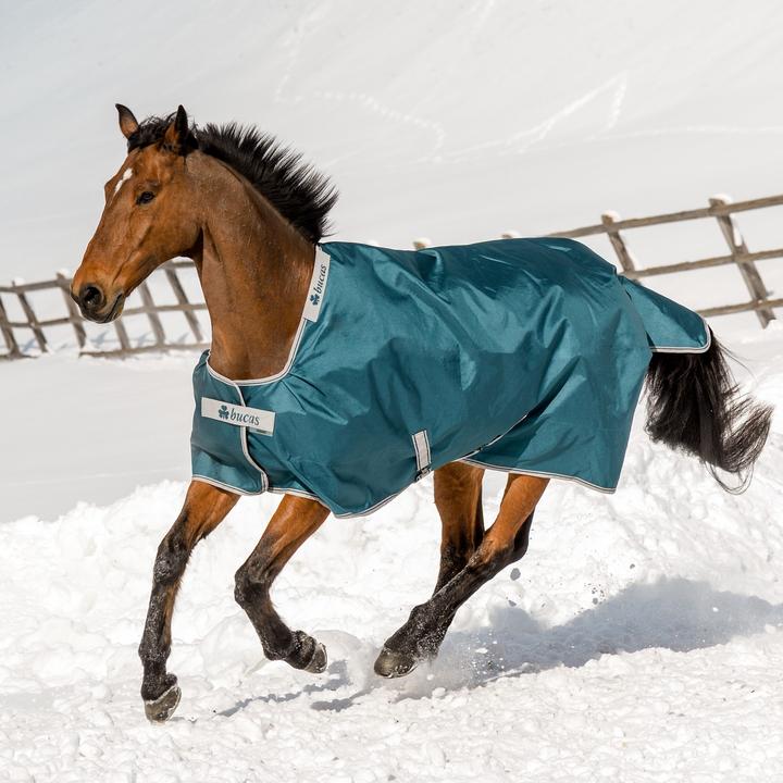 Actual product image Bucas Atlantic Turnout 200g (145 cm)