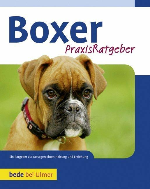 Produktbild Boxer (Deutsch, Manuel Fritz, 2010)