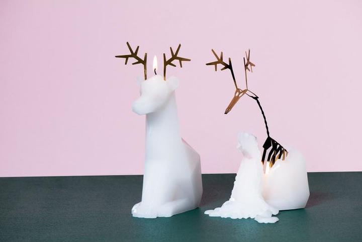 Image du produit 54Celsius PyroPet Dyri (1 pcs)