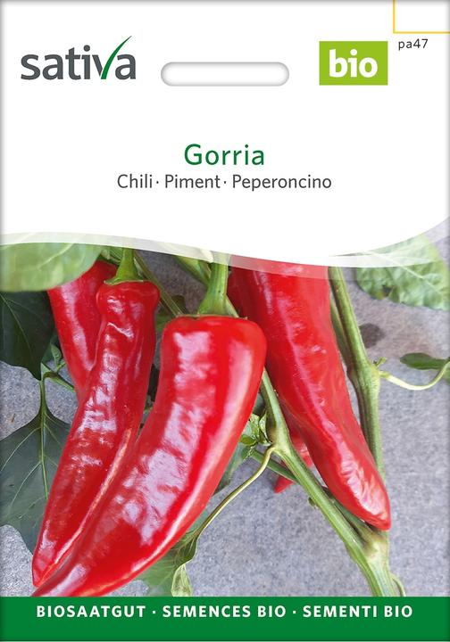 Produktbild Sativa Gorria – Chilli Bio (Gemüsesamen)