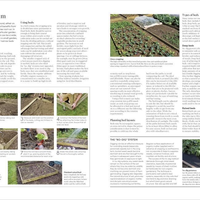 Actual product image RHS Encyclopedia of Gardening New Edition (English, 2022)
