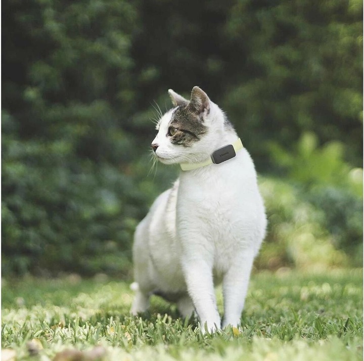 Image du produit Invoxia Pet GPS Tracker (Chien, Chat, Général)