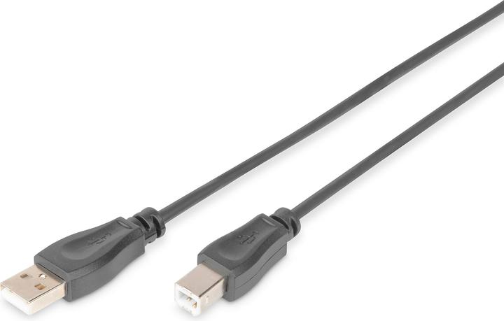 Actual product image Digitus USB2.0 connection cable, 0.5 m (0.50 m, USB 2.0)