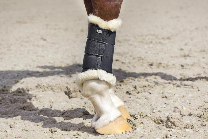 Immagine prodotto Catago Stinchiere per cavalli chiuse