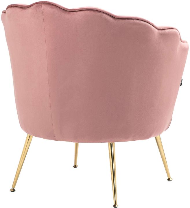 Image du produit CLP Rosita