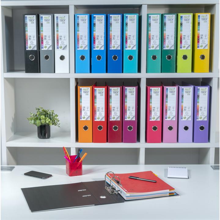 Actual product image Exacompta Prem'Touch (A4, 80 mm, 1 pcs.)