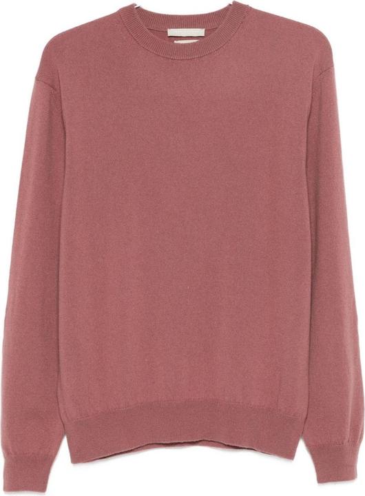 Produktbild Daniele Fiesoli Maglie Rosa (L)