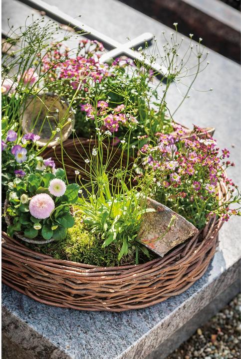 Actual product image Opiflor Plant pot with resin look Brown/Terracotta (10 cm)