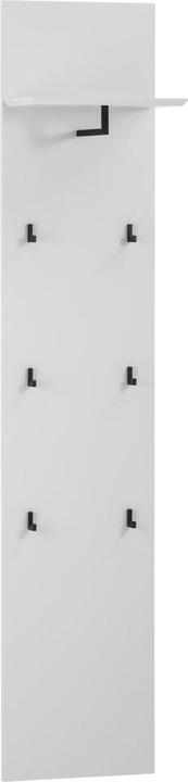 Actual product image pfister Frame