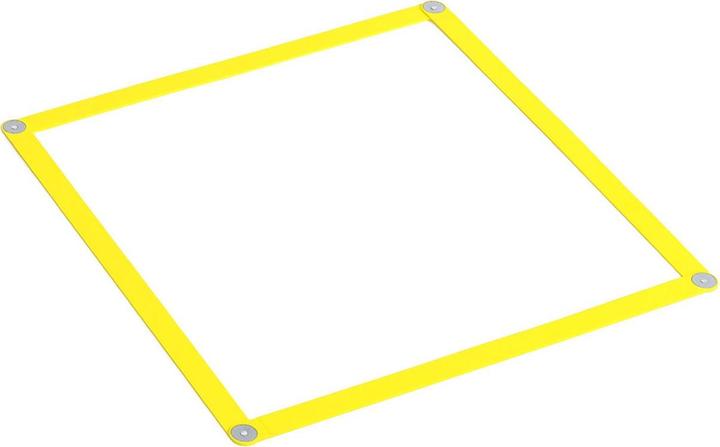 Actual product image Tiguar Speed ladder w. magnets