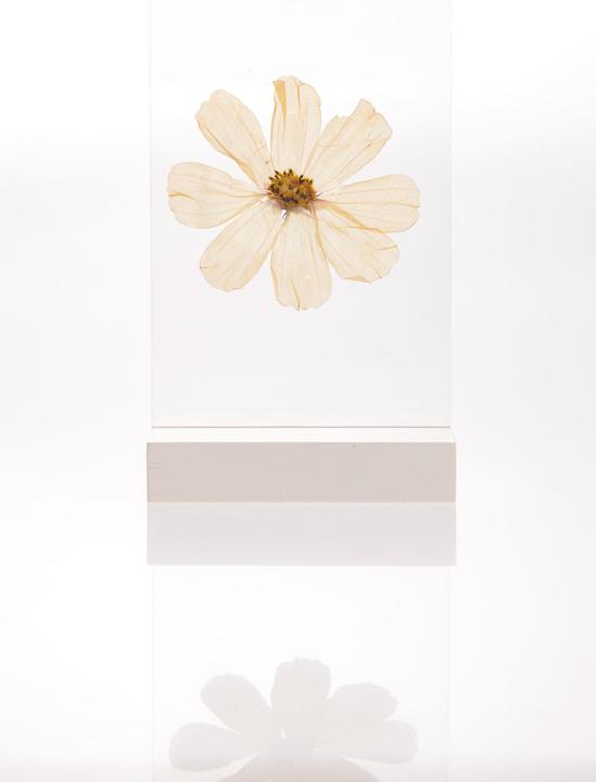 Actual product image Rico Design Wooden stand with double acrylic disc, 13 x 18 cm (13 x 18 cm)