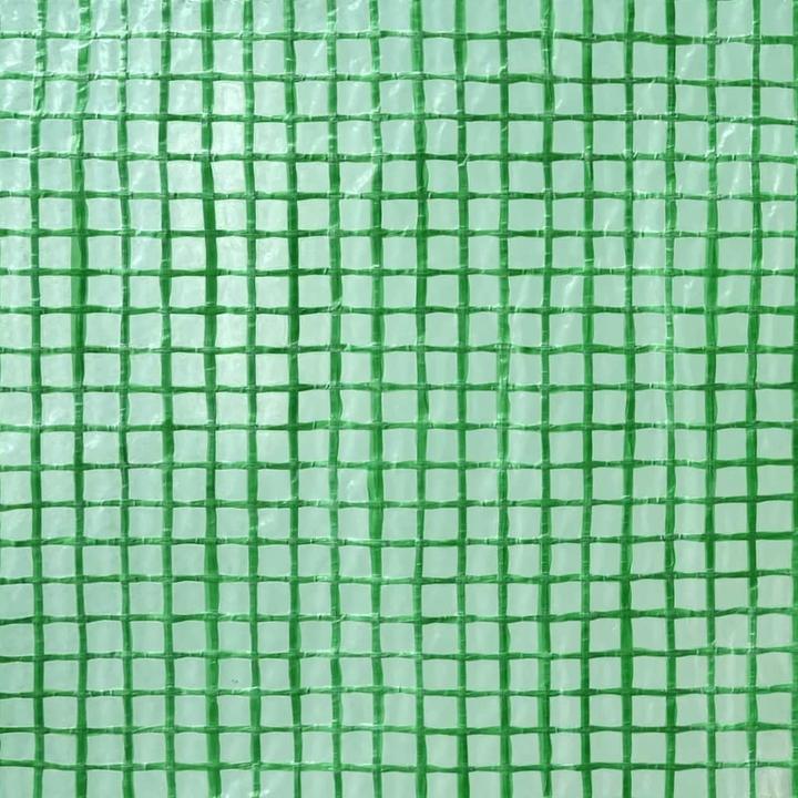 Image du produit vidaXL Gewächshaus