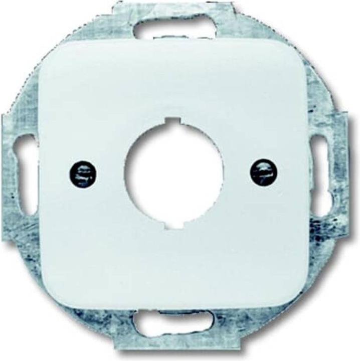 Produktbild Busch-Jaeger Zentralscheibe