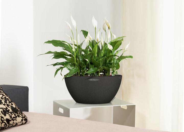 Produktbild Lechuza Cubeto 40 (40 x 18.30 cm)