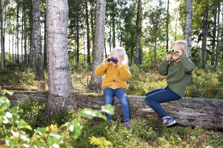 Immagine prodotto Focus Home Interactive per bambini Junior 6x21 blu (6x, 21 mm)