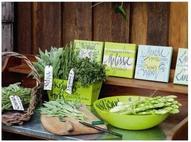 Image du produit Edding Feutre de coloriage 1255 calligraphy pen 5.0 (1x)